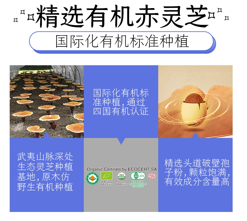 睡寶膠囊
